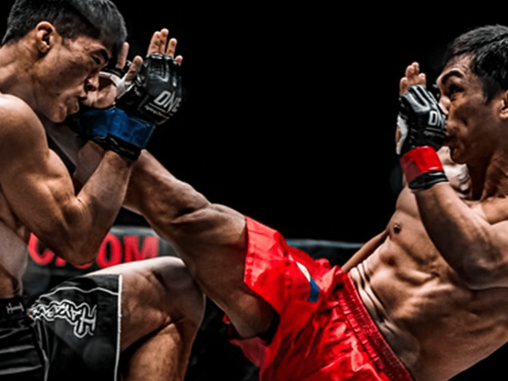 International MMA